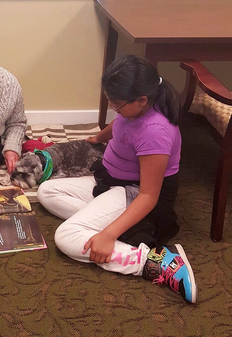 Patricia Neri's gray schnauzer lays on the floor while a young girl in purple shirt reads. 