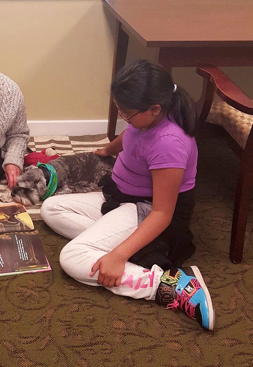 Patricia Neri's gray schnauzer lays on the floor while a young girl in purple shirt reads.