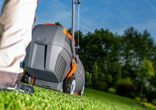 Mowing the lawn