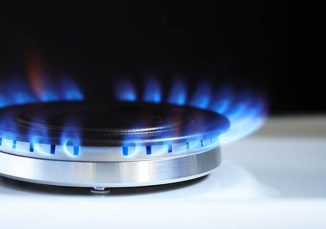 Gas Burner