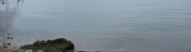 A pre-cleanup picture of a beach on Lake Michigan's waterfront. 