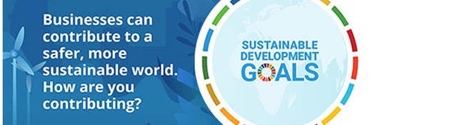 Depiction of sustainable development goals