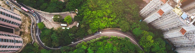 Aerial view of green area, buildings and street
