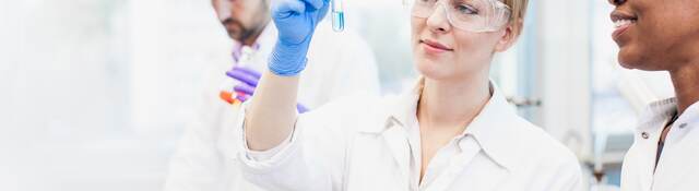 Scientists working in the laboratory.