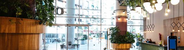 Interior of modern hotel lobby with lots of green plants