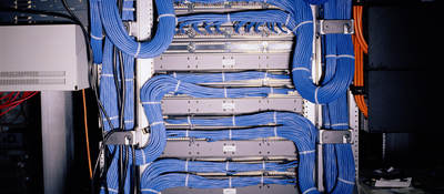 A close-up image of blue telecommunications cable.
