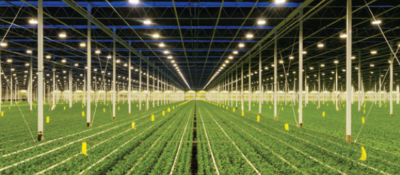 Indoor growing facility of plants
