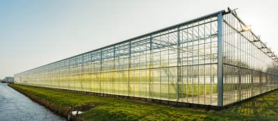 A greenhouse surrounded by green grass sits near the edge of the water on a clear day 