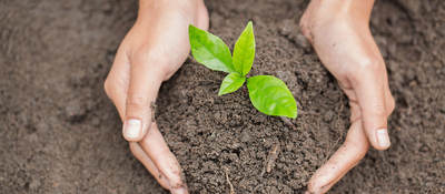 How Do Textile and Leather Companies Measure Their Environmental Impacts?