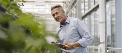 A horticultural professional with a digital tablet analyzes plants in a greenhouse.