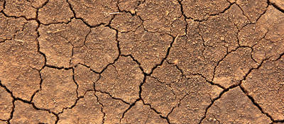 dry, cracked earth