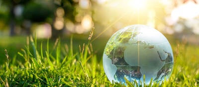A glass globe placed in lush grass