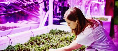 Horticultural professional checking on plant growth in the glow of a horticultural lighting system.