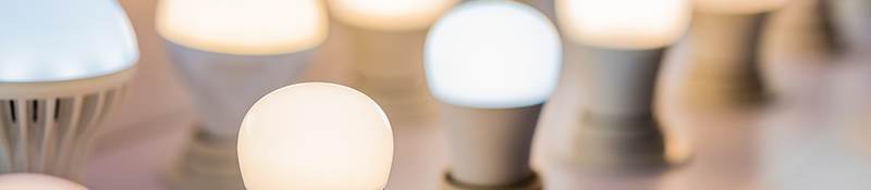 Different colors and shapes of lightbulbs on display