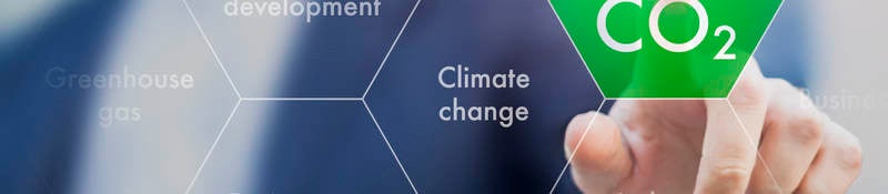 Enabling Carbon Reporting in the Supply Chain