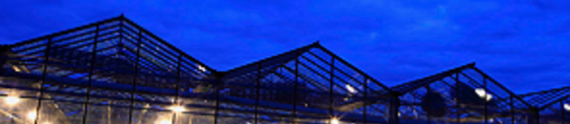 Outside looking in view of a cannabis farm at night.