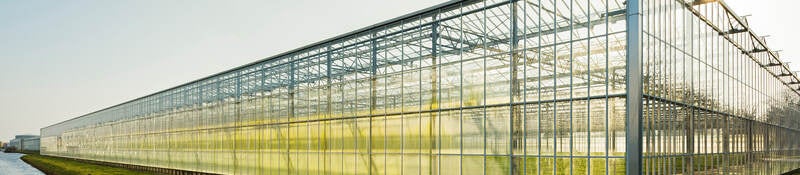 A greenhouse surrounded by green grass sits near the edge of the water on a clear day 