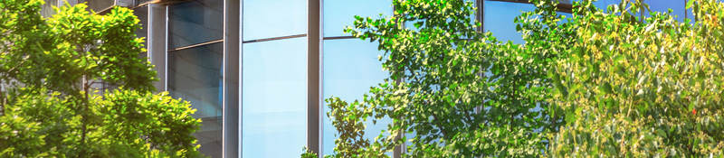 glass building  with trees in front of it