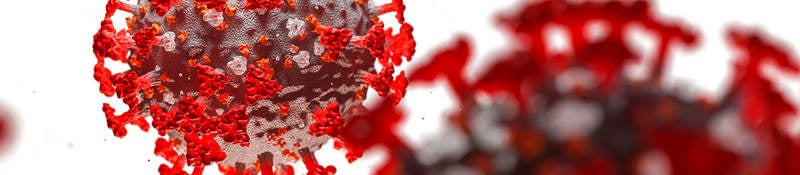 3D illustration of the coronavirus
