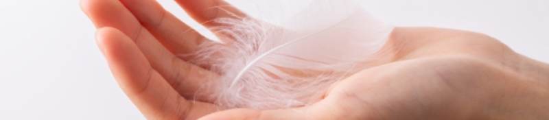 White feather on a woman hand