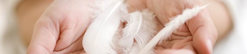 Feather and down in a woman’s hand