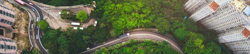 arial view of trees and city