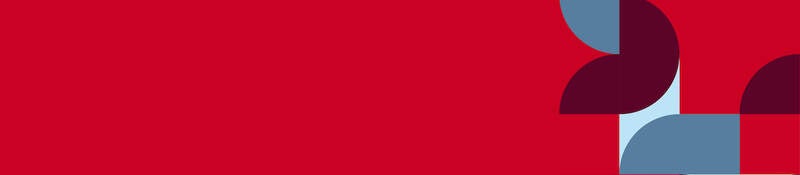 DEI banner