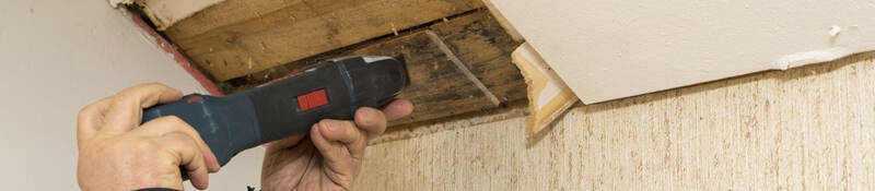 A person taking a mold sample