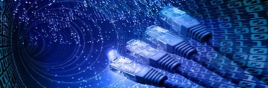Ethernet cables