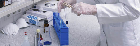 Microbial testing in a laboratory.