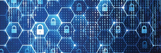 Network security web with locks inside different web holes