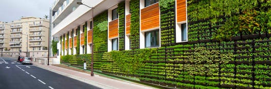 Sustainable urban building with exterior garden walls, large windows, and wood paneling