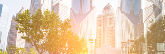 people walking through city park at sunset with tall buildings in the background