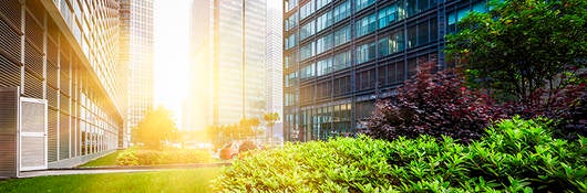Green City