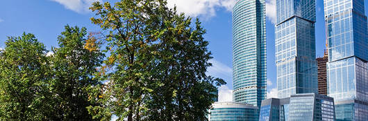 Glass skyscrapers next to trees against a blue sky