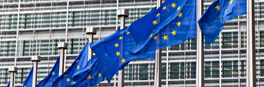 European Union Flags Against Building