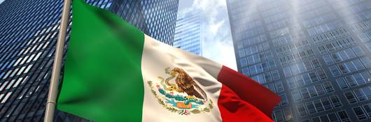 Mexico Flag with sky scrapers in background 