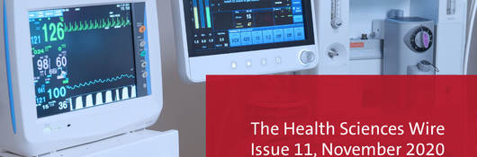 Newsletter banner 11
