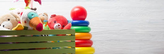 Insights for Global Toy Recalls — Interview with the Experts
