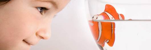 Key Learnings from 2019 EU Recalls: CHOKING HAZARD — EXPANDABLE TOYS