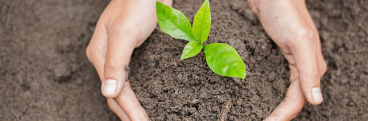 How Do Textile and Leather Companies Measure Their Environmental Impacts?