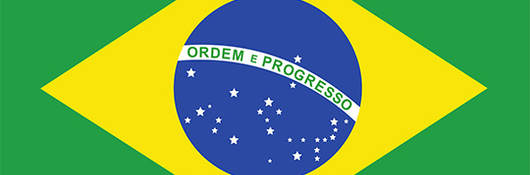 Brazilian flag 