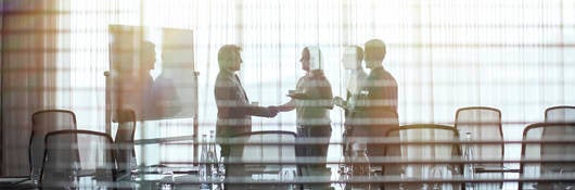 Group of people in a meeting shaking hands.