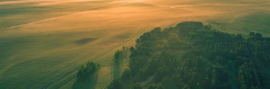 Sunset on open field