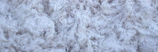 asbestos