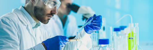Scientists perform chemical testing in a laboratory