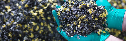 Worker holding recycled plastic in plastics factory