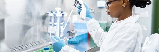 Scientist analyzes lab samples