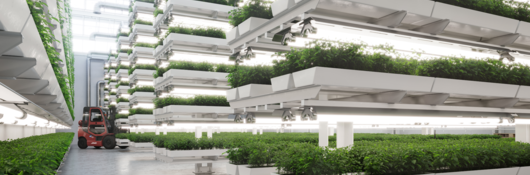 Indoor vertical farming system