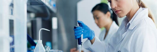 Lab technician working in laboratory